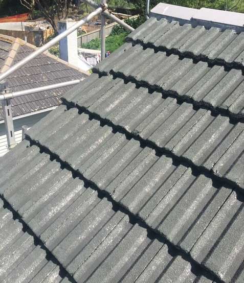 Roof after Safe N Simple moss treatment